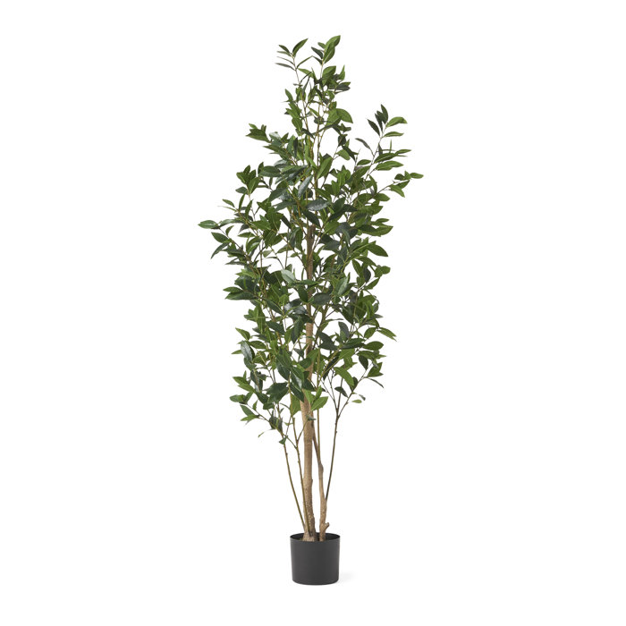 Primrue Faux Laurel Tree in Pot & Reviews Wayfair